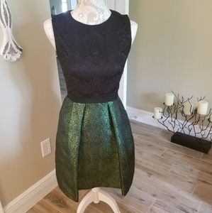Erin Fetherston Dress